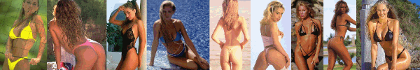 banner.gif - 51424 Bytes