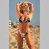 thumb_bikini7_jpg.jpg - 1849 Bytes